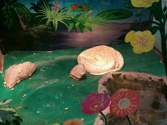 android_upload_pic-上海大自然野生昆虫馆