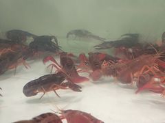 -西亚美超市(西亚丽宝广场店)