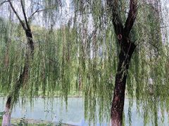 -沙河三洞古桥公园