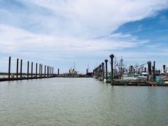 -Steveston Pizza Company (Richmond)