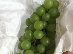 -马陆小张葡萄园农家乐