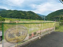 -岚山嵯峨野观光小火车