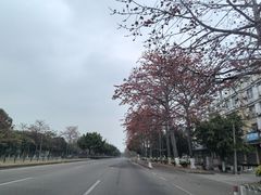 -广东圆玄道观