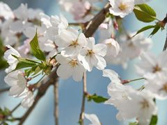 -七宝老街-闵行市民文化广场
