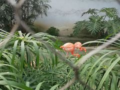 -成都动物园
