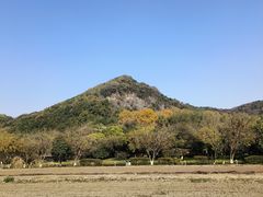 -八卦田遗址公园