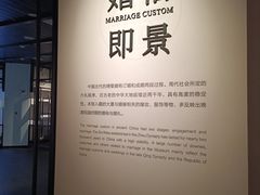 -四川大学博物馆