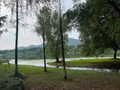 -长广溪湿地公园
