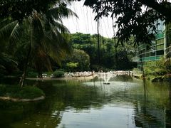 -新加坡飞禽公园
