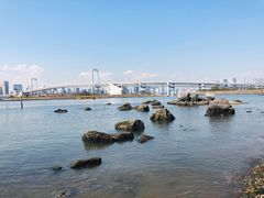 -台场海滨公园船码头