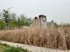 -永定河休闲森林公园