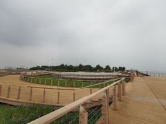 -东疆建设开发纪念公园