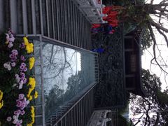 鼎湖山-鼎湖山风景区