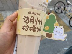 -猫的魔法密林(衣裳街店)