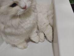 -旺角小渔村(二马路店)