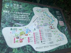 -野象谷景区