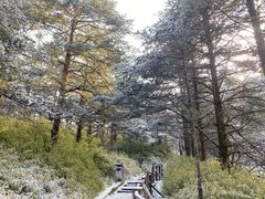 -峨眉山风景名胜区