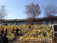 iphone_upload_pic-白塘生态植物园