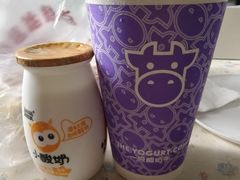 -一只酸奶牛(春熙路店)