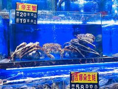 -河马鲜生海鲜超市(风荷园店)