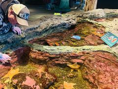 -西雅图水族馆