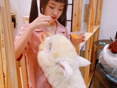 -猫色咖啡·猫咖