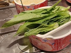 -龍歌自助小火锅(芝罘万达店)