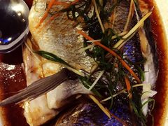 清蒸海鱲鱼-Hayam Hasini Chinese Restaurant 东海中餐厅 הים הסיני