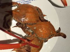 多伦多海鲜自助餐厅(南京德盈店)-星伦多自助料理·涮烤一体(虹悦城店)
