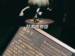 -甘肃省博物馆