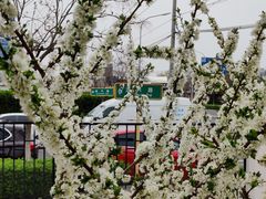 -博睿通达汽车修理站