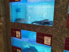 -潮州府·潮菜·砂锅粥(徐家汇店)