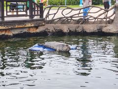 -华夏文旅海洋公园