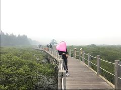 -北海金海湾红树林生态旅游区