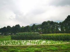 -太阳湾风景区