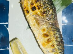盐烤青花鱼-吉川居酒屋(建国北路店)