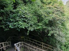 -亚婆田·白水寨生态旅游度假区