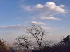 -北京西山国家森林公园