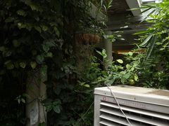 -缘生态云南菜·野生菌庭院餐厅(华侨城店)