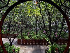 -太阳宫公园