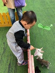 -萌宠亲子动物乐园(槐房万达店)