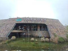 -洋湖国家湿地公园