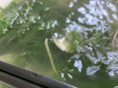 -都斛海鲜街