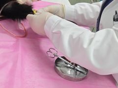 -北京观赏动物医院·24小时大型综合·猫专科·异宠专科