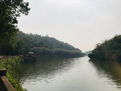 -李小龙乐园(顺德均安店)