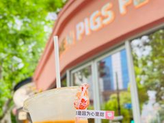 -WHEN PIGS FLY当猪飞