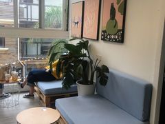 -有猫主题·治愈系猫咖(曾厝垵店)
