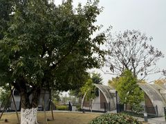 -桂花寨(北碚二店)