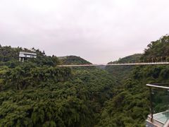 -川西竹海景区