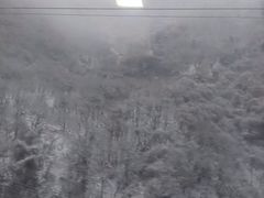 -秦岭风景区